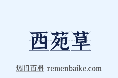 西苑草是什么意思的图片